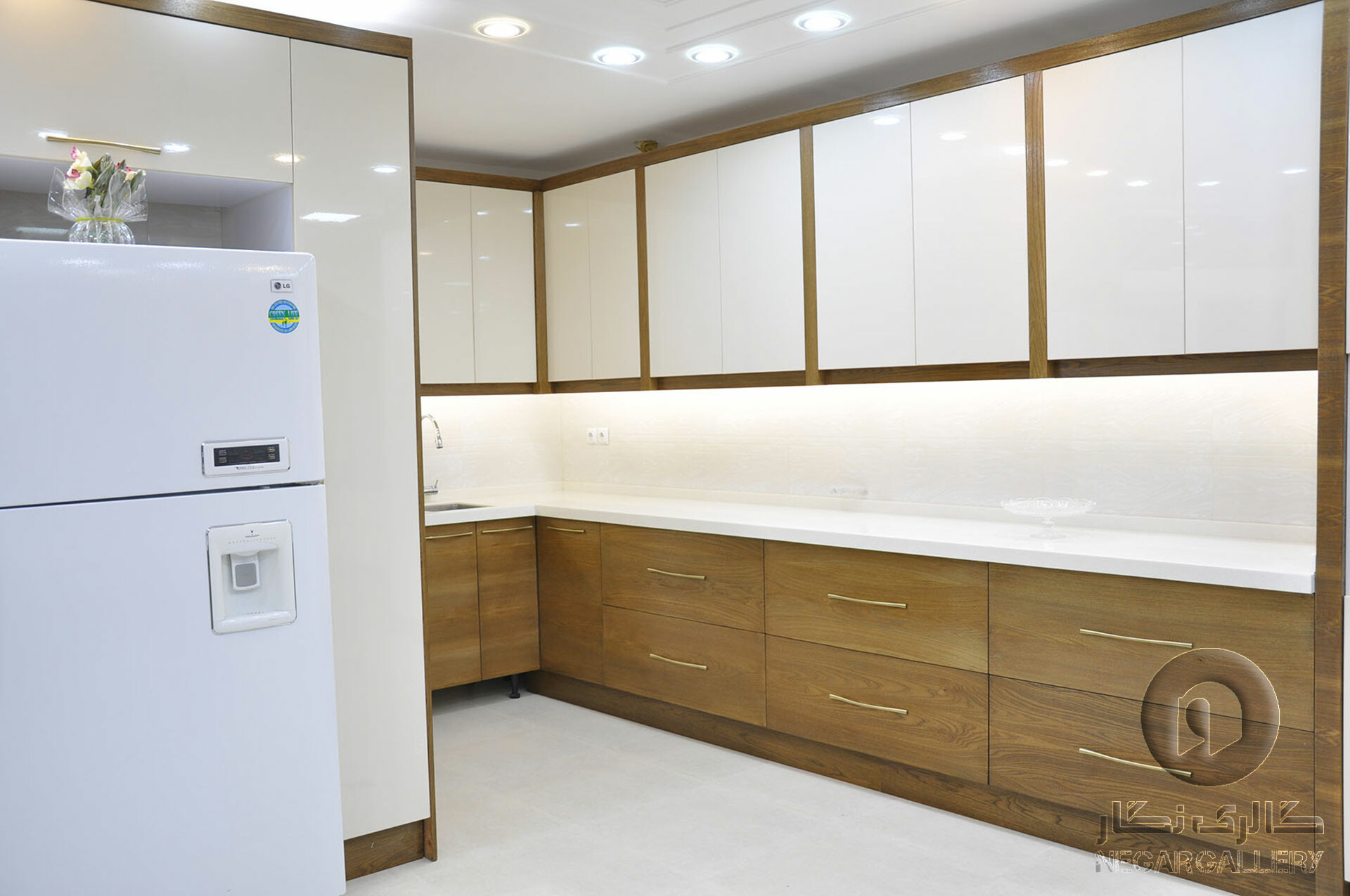 پروژه شاکری (آدنیوم)