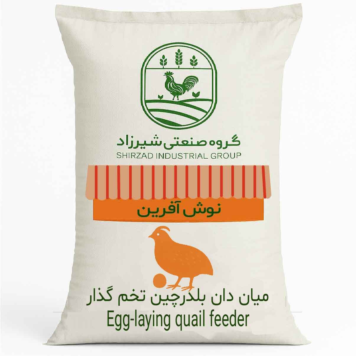 میان دان بلدرچین تخم گذار