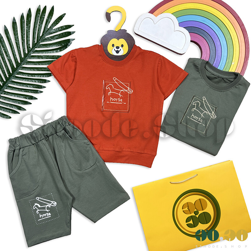Boys' T-shirt Shorts