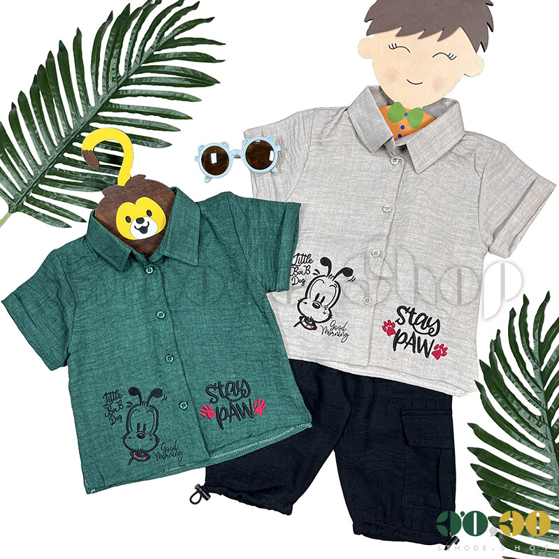 Boys' shorts shirt