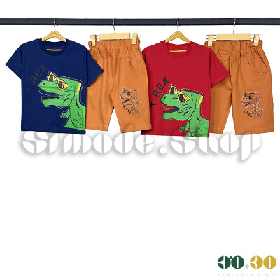 Boys' T-shirt Shorts