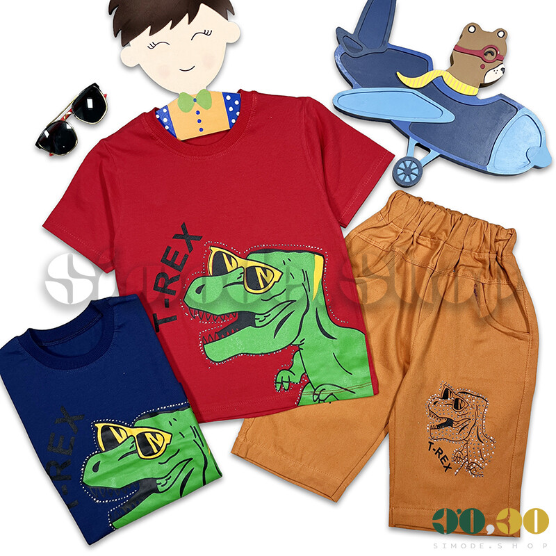 Boys' T-shirt Shorts